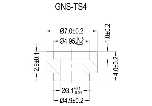 GNS-TS4  503×350.jpg